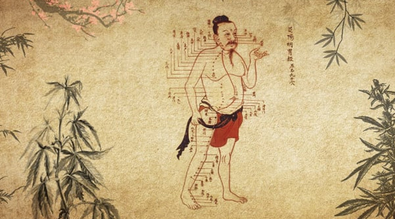 medecine traditionnelle japonaise therapeutes france