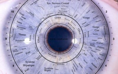 L’iridologie – Les yeux, fenêtres de l’âme et de la santé