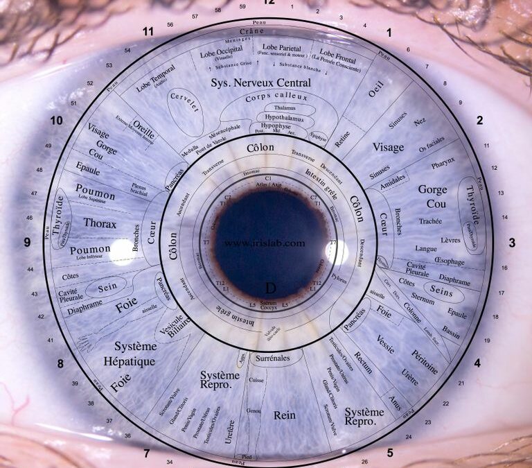 L’iridologie – Les yeux, fenêtres de l’âme et de la santé