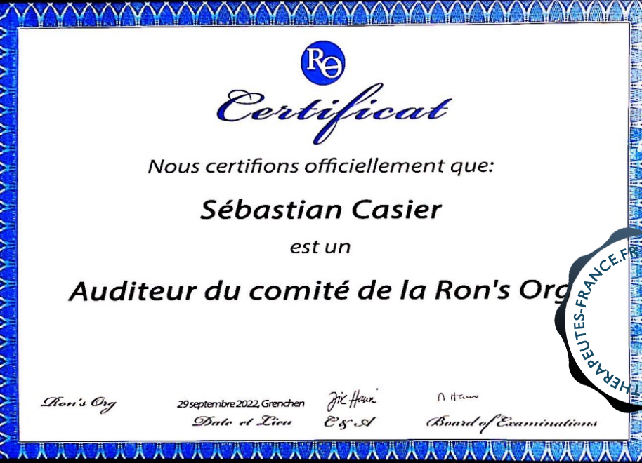 Auditeur