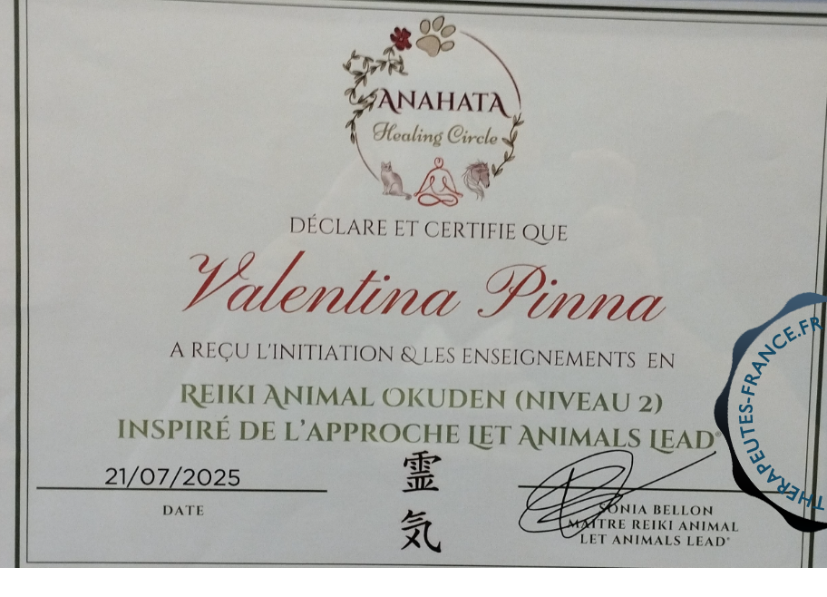 Reiki Animal