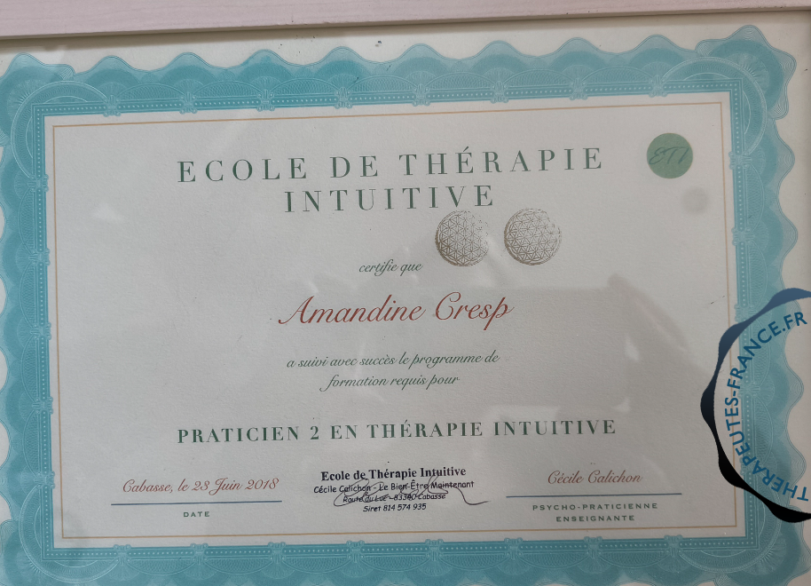 Th&eacute;rapie intuitive praticien 1 et 2