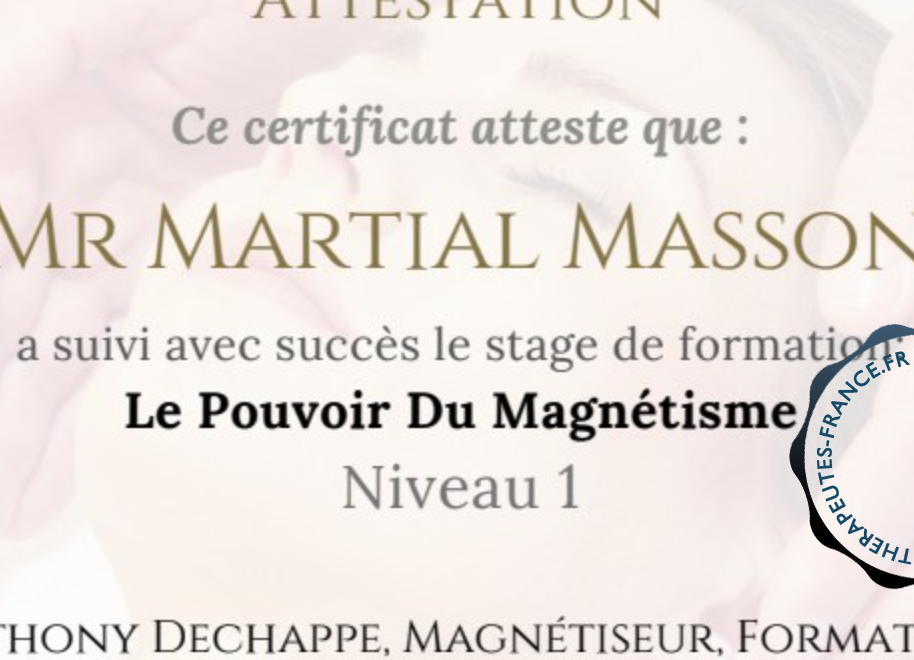 Le Pouvoir Du Magn&eacute;tisme N 1