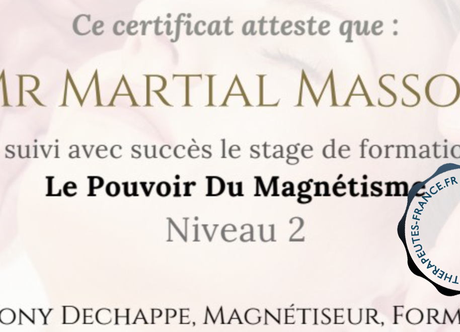Magn&eacute;tisme Le Pouvoir Du Magn&eacute;tisme N 2