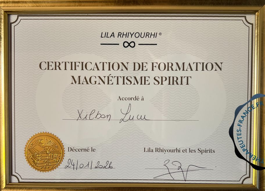 Magn&eacute;tisme Spirit
