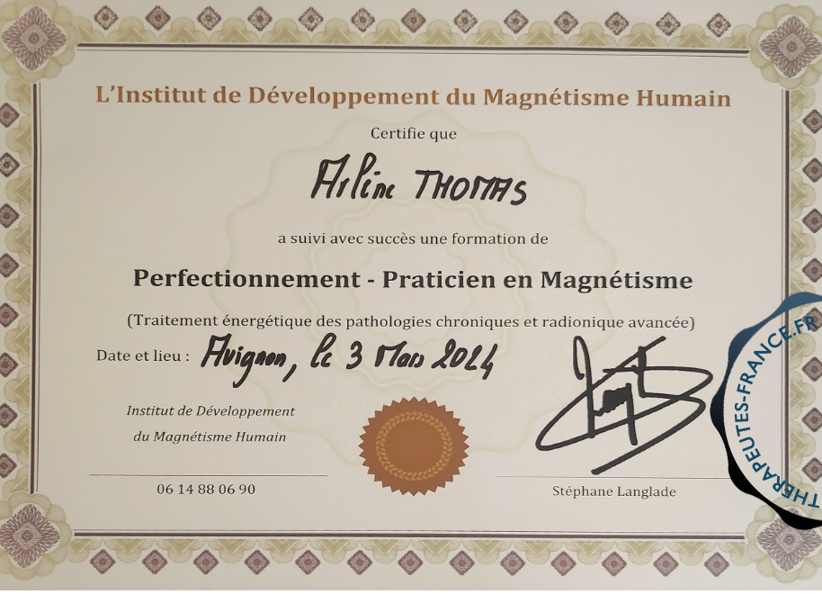 Magn&eacute;tisme