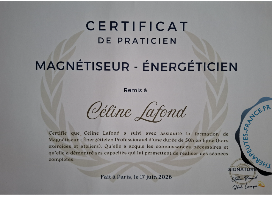 Magn&eacute;tiseur et Energ&eacute;ticien