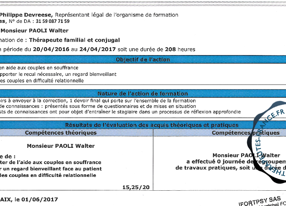 Th&eacute;rapeute Familial