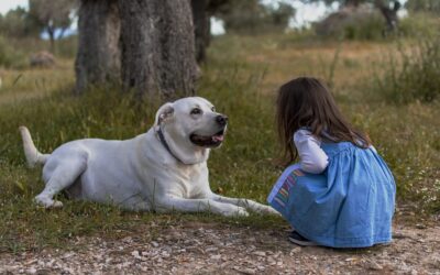 Plongée enchantée dans la communication animale